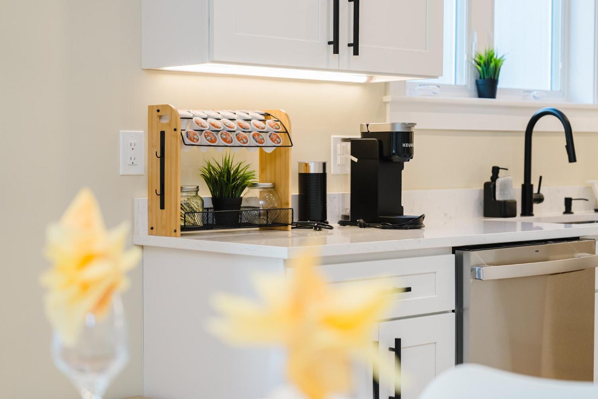 60-1 4Br Boston - Cozy New Apt Near Franklin Park *