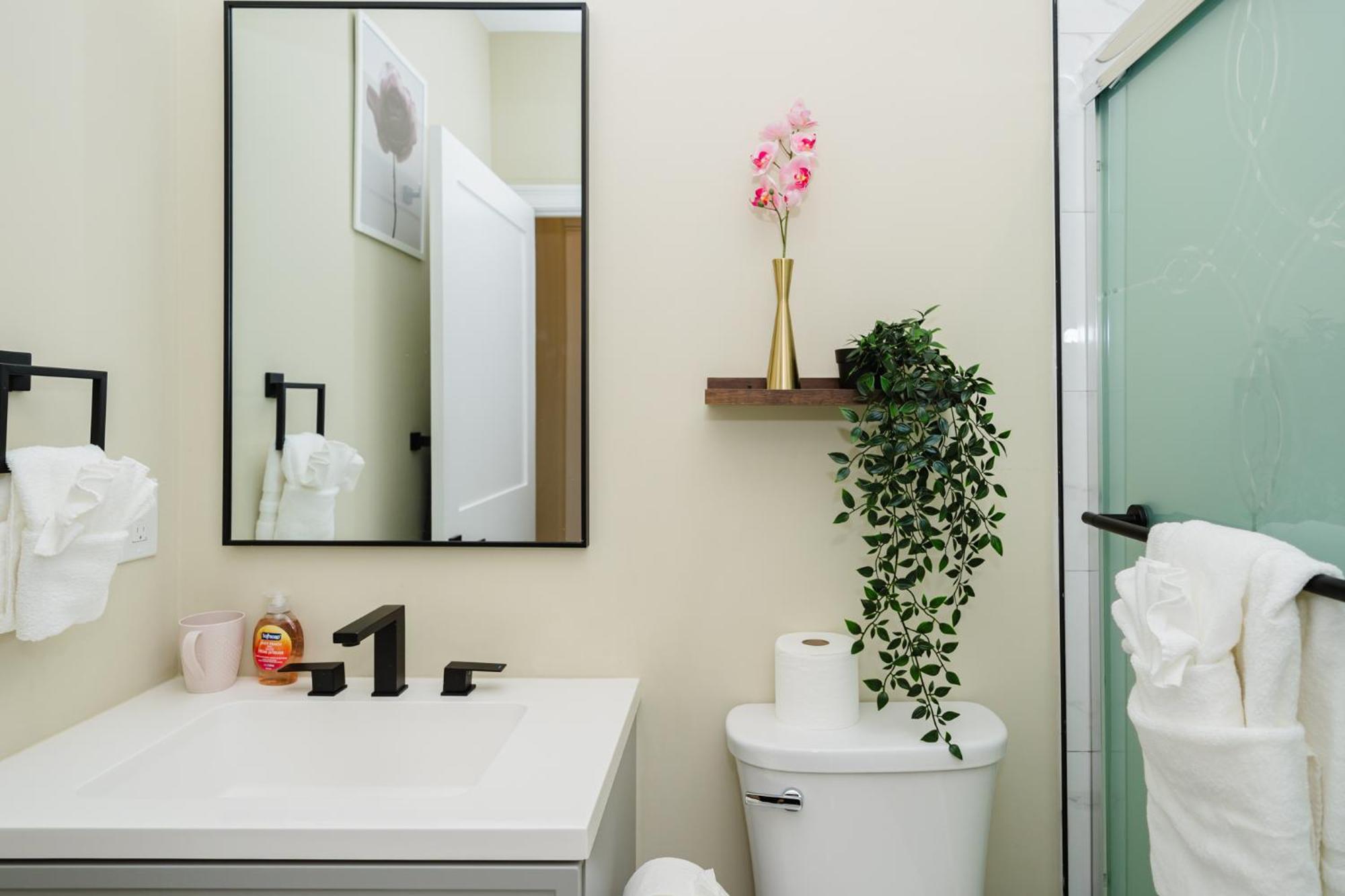 Apartment 60-1 4Br Boston - Cozy New Apt Near Franklin Park Boston
