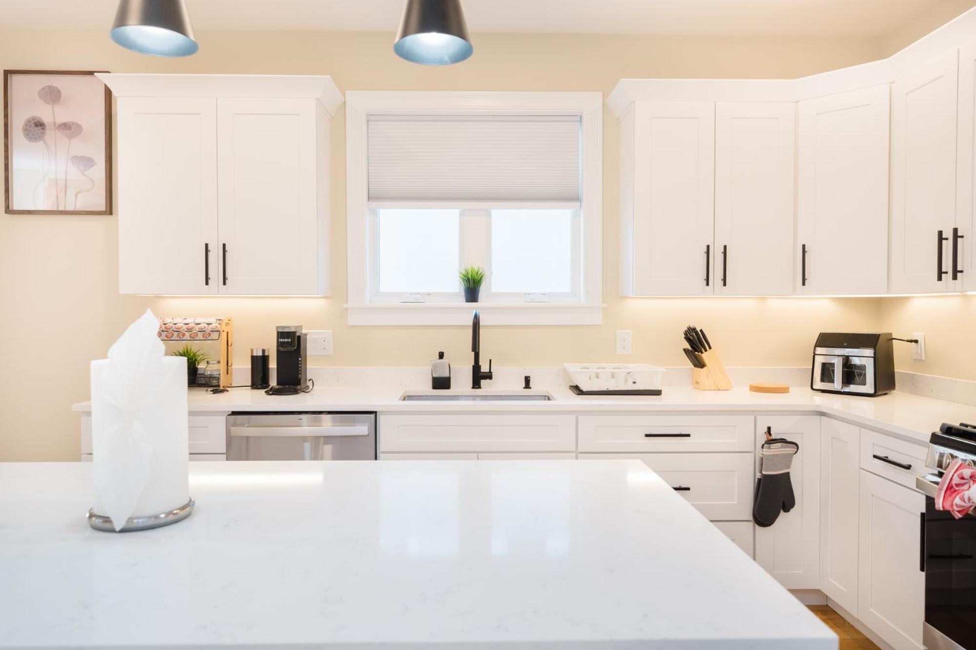 60-1 4Br Boston - Cozy New Apt Near Franklin Park *